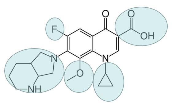 3. Structure of Moxifloxacin The Moxifloxacin molecule is made up of a quinolone frame, which carries five relevant substituents beside a carbonyl group: As a member of the class of fluoroquinolones