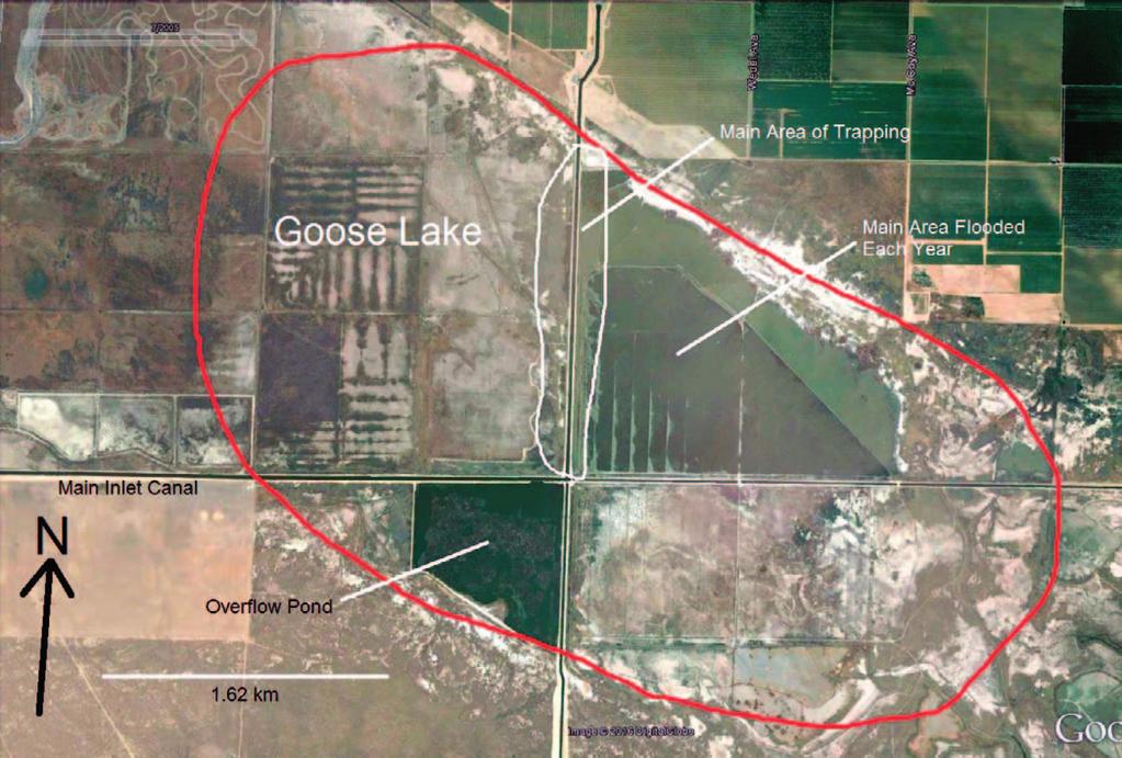 664 Copeia 104, No. 3, 2016 Fig. 1. Aerial view of Goose Lake and surrounding infrastructure of the Semitropic Water Storage District where I trapped Western Pond Turtles (Actinemys marmorata) from 1995 to 2006.