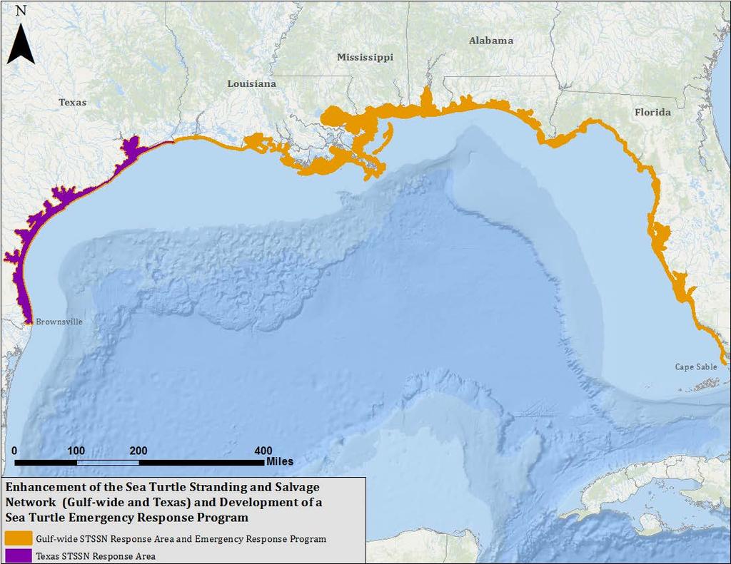 13.1.3.2 Enhancement of the Sea Turtle Stranding and Salvage Network and Development of a Sea Turtle Emergency Response Program This project component will include 1) NOAA s enhancement of the Gulf