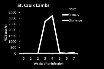 contortus 5 weeks later lambs were dewormed with levamisole and rested for 4 weeks During real experiment 10 St.