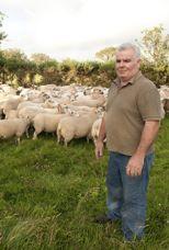 Initially Tommy followed the traditional system of that area and ran the Blackface Mountain ewe with a mountain ram but in 1999 after some research and trials of other breeds; he decided to try