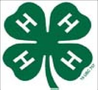 Clinton County 4-H Cloverbud Project Record