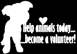 Our volunteer activities are scheduled on the website Meet Up. Right now we are actively recruiting volunteers to help us out at our Saturday adoption events.