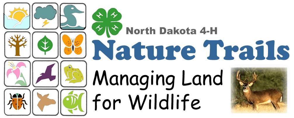 Objectives You will learn 1) wildlife s requirements for food, water and shelter, and 2) how we can manage land to protect wildlife. Introduction Wildlife habitat is the place where an animal lives.