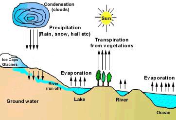 The Water Cycle The water cycle is sometimes called the Hydrologic Cycle. The drawing shows the water cycle. The water cycle is continuous.