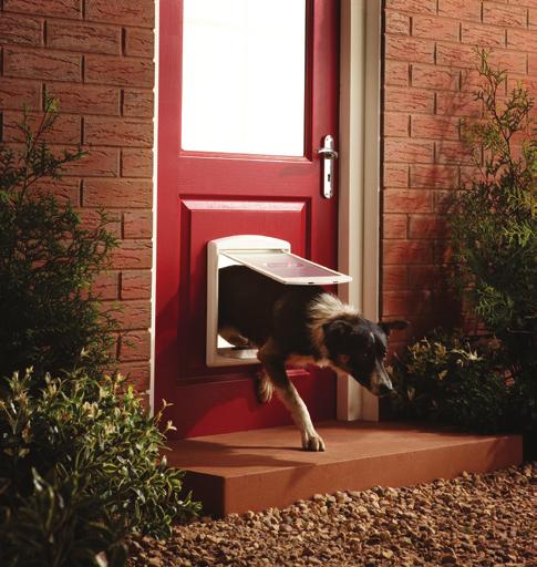 Pet Doors What types of Pet Door are available? 4-Way Locking Pet Doors have the ability to allow open, in only, out only or locked settings.