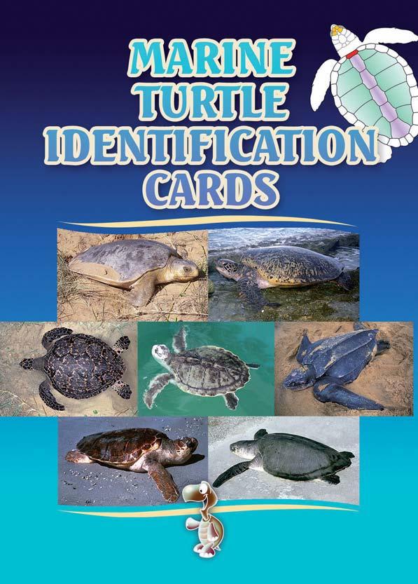 These turtle identification cards are produced as part of a series of awareness materials developed by the Coastal Fisheries Programme of the Secretariat of the Pacific Community This publication was