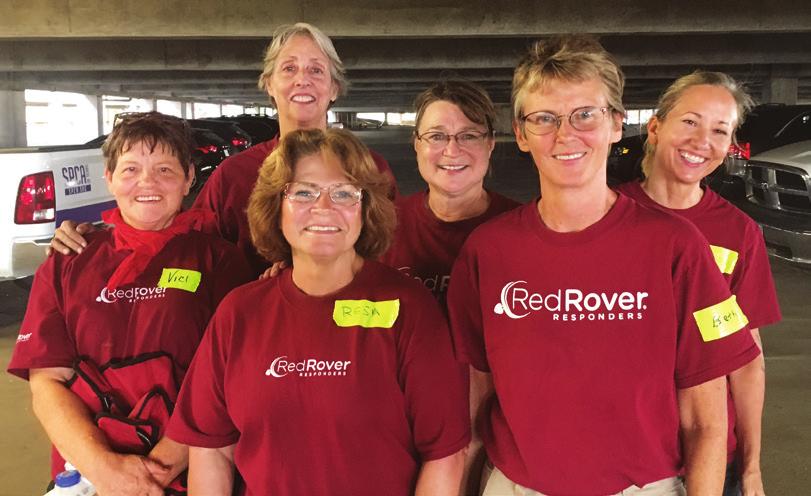 RedRover Responders put their hearts and souls into helping the animals evacuated from Hurricane Harvey.