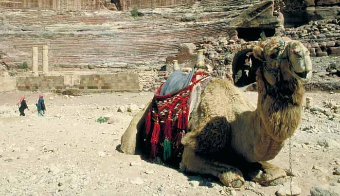 The camel can survive long periods without food or water.