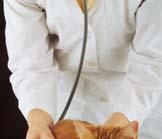 Litigation burden Result: Increased costs passed on to pet
