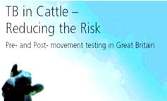 3.1. Quantitative risk assessment for the importation of breeding cattle