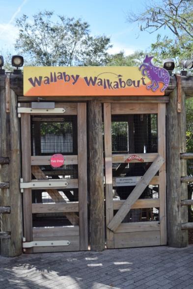When we get to Wallaby Walkabout, we will go to the door with the entrance sign on it.