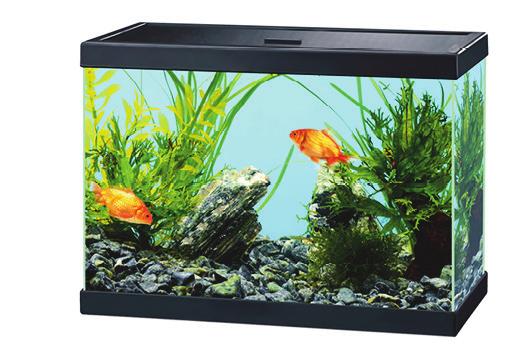 99 AQUA 20 AQUA 20 is a small, glass aquarium which is easy to use, equipped
