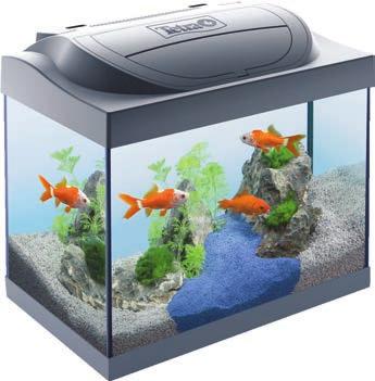 STARTER LINE AQUARIUM 30L STARTER LINE AQUARIUM 54L AA059 A small starter aquarium for keeping goldfish and plants. Sturdy aquarium tank with 4-mm-thick glass.