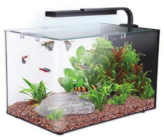 49 EDGE GLOW Super stylish and compact aquarium for the more experienced fishkeeper who wants something a bit different, this
