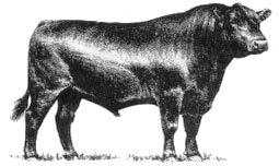 2014 MSUE Bull Breeding