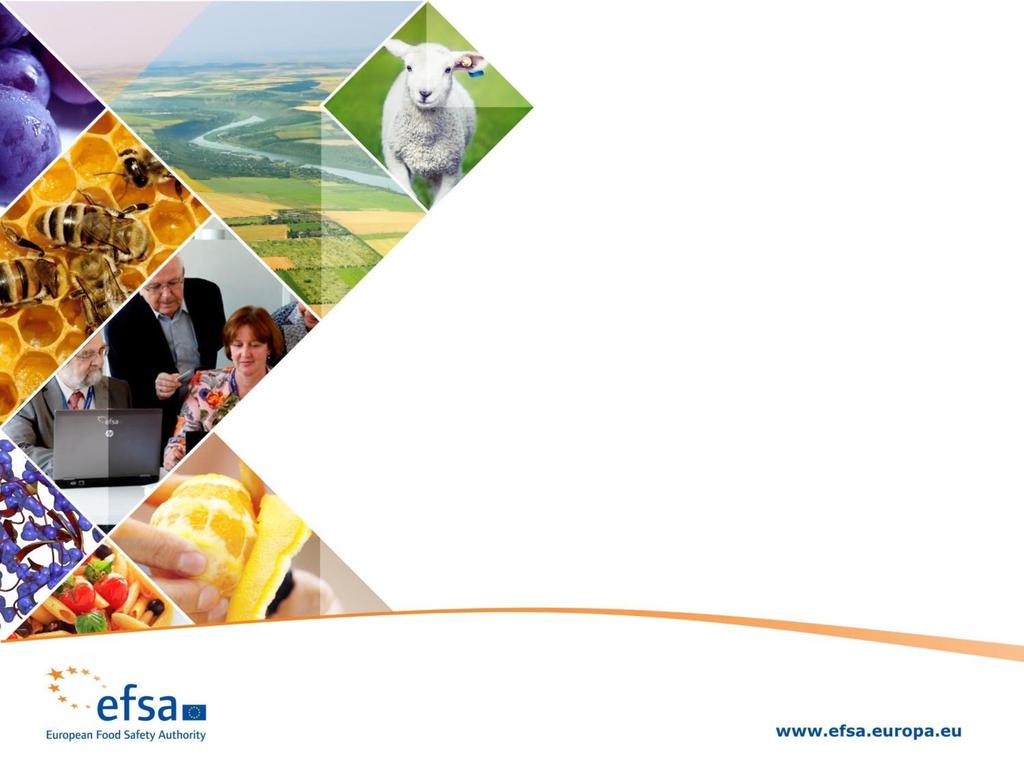 EFSA s activities on antimicrobial resistance in the food chain: risk assessment, data collection