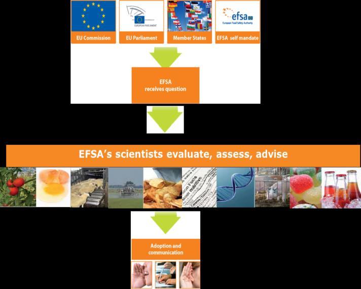 EFSA and AMR The EFSA is the EU agency responsible for risk assessment on food and feed safety