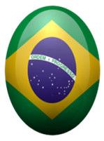 Latin America Brazil: The Brazilian poultry meat industry depends largely on export, so the majority of breeders are vaccinated against Salmonella Enteritidis to reduce broiler contamination levels.