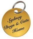 ANIMALS PROVIDED BY SYDNEY DOGS & CATS HOME The Sydney Dogs and Cats Home do fantastic work for many animals in need around the city.