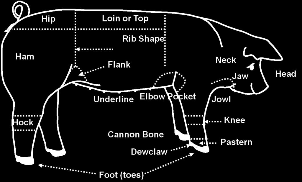 Parts of the Hog Answer Sheet