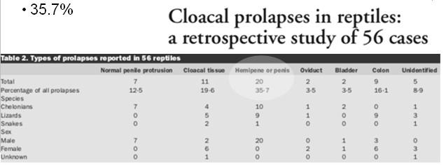 Cloacal Prolapse Two main questions when evaluating the cloacal prolapse patient What tissue is prolapsed?