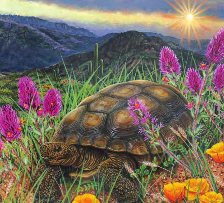 MELISSA STEWART has written more than 150 books for oun readers, includin man award-winnin titles. The other books in her A PlACe For... series ma also be of interest to readers of A PlACe For TurTleS.