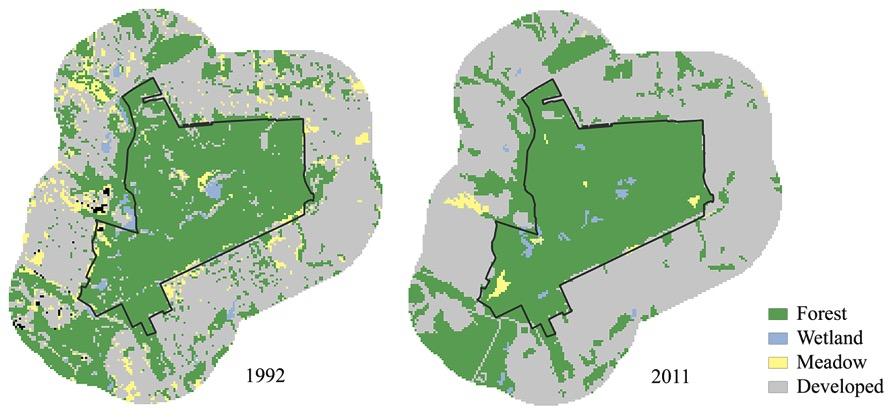 Landscape analyses suggest that there have been substantial changes to land cover between 1992 and 2011 (Figure 2-3). Within the park, forest cover increased slightly (5.