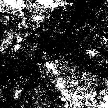 canopy cover was then available by looking at the luminosity channel in the image s histogram. Steps are listed below with > indicating a submenu selection. Steps in Photoshop CS5 & CC: 1.