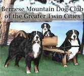 New Year 2009 Volume 6, Issue 1 Special Interest Articles: President s Letter Why Enter Your Berner in Berner-Garde Annual Club Night Out In This Issue: Bernese Mountain Dog Club of the Greater Twin