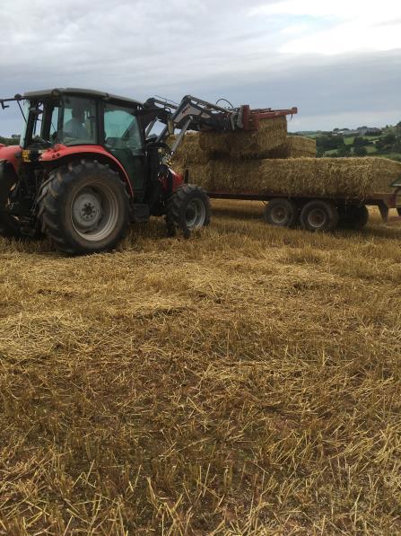 to have. In a normal season, we d have made extra hay or silage from the surplus but there was no point this year.