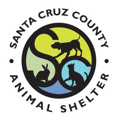 Manager Santa Cruz County Animal