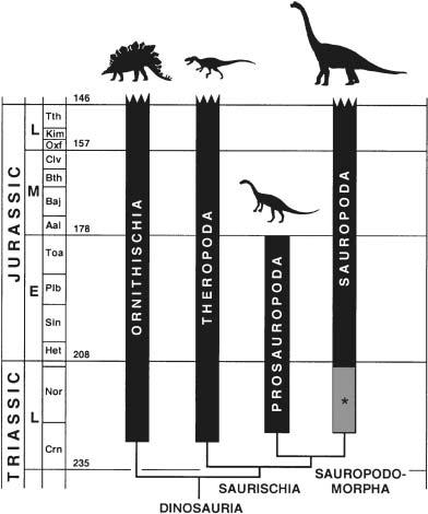 FIGURE I.2. Temporal distribution and relationships of major lineages of dinosaurs during the Triassic and Jurassic.