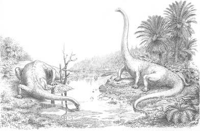 FIGURE I.4. Oliver P. Hay s 1910 reconstruction of The Form and Attitudes of Diplodocus.