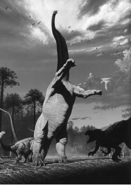 FIGURE I.5. John Gurche s dramatically posed Barosaurus protecting its young from an attacking Allosaurus. This depiction casts sauropods as active animals capable of rearing up on their hind legs.