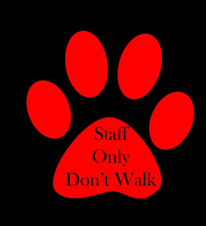 Red Paws are for staff only Referred to as Rowdy Reds These dogs may be showing signs of aggression Dog