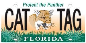 statistically robust methods to estimate the panther population size; evaluating the utility of new GPS collar technology; assisting with the development of new panther recovery criteria with USFWS,