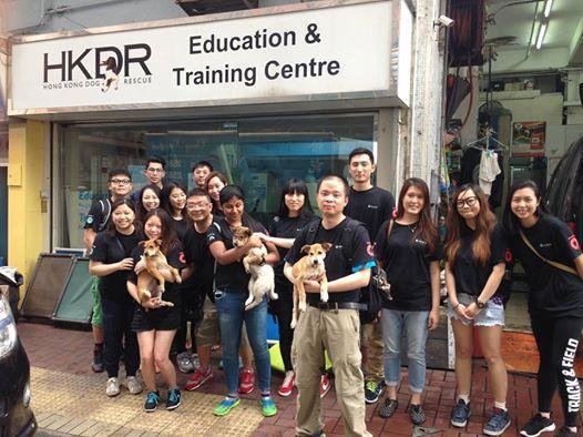 ), they had the chance to understand the challenges HKDR