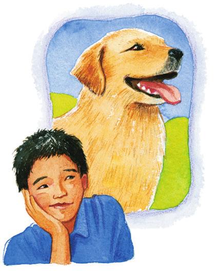 Connor could already imagine life with his own dog. Together, they would play catch in the park. He would scratch the dog behind its soft ears.