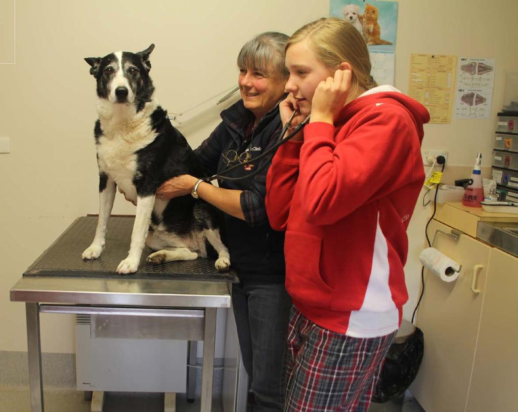 Jindera Vet Clinic Protecting Our Animals Indi Ziebarth, Lucy Ennis,