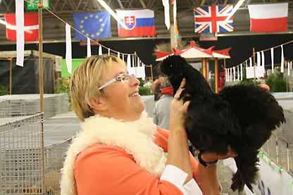 pullet by Patrick Lanckmans (NL) with 97 points. Black As much as 41 Blacks by 9 breeders from 4 countries, so a large class with also much quality: 13x 95, 5x 96 and 2x 97 points were awarded!
