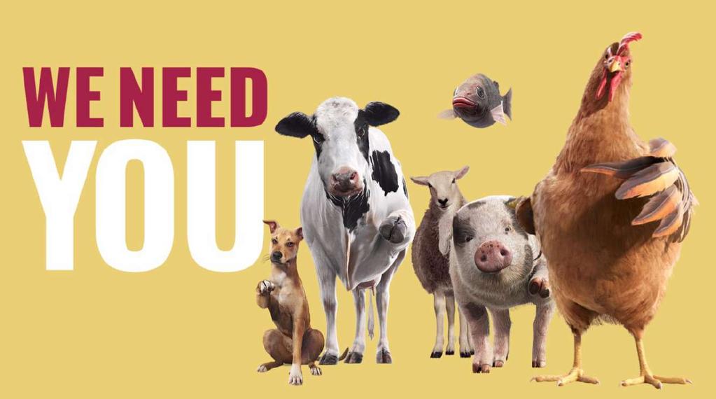 WE NEED YOU To Handle Antimicrobials with Care Video World