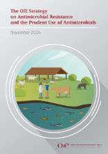 citizens Focus Area 1: Improve awareness on Antimicrobial Resistance and related