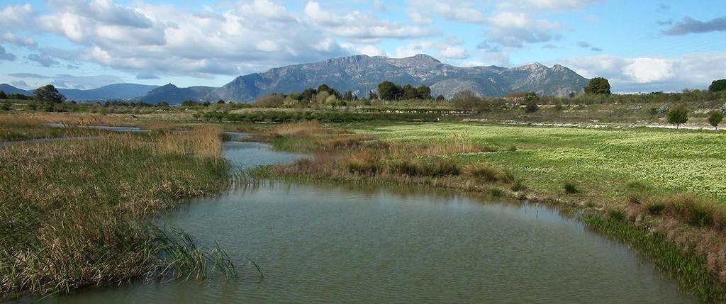 PROJECT OBJECTIVES Gaianes pond, Alicante, Comunitat Valenciana LIFE+Trachemys project aims to halt the biodiversity loss caused by the presence of