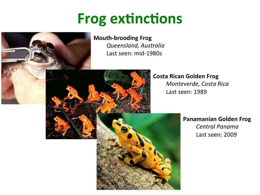 Next, I d like to highlight a couple par,cularly sad frog ex,nc,ons.