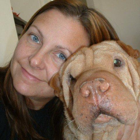 organization, Pei People. Sue and Jody love the Shar Pei breed and made it their goal to rescue and then re-home as many homeless Shar Pei as possible. Many of the rescues come to them in rough shape.