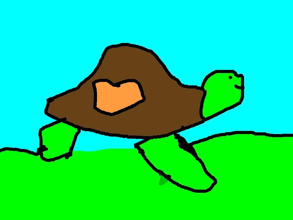 Turtle My animal is a turtle.