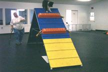 then placed according to the assessment of each individual dog, so that the dog will jump or stride over them and consistently land with a foot in the yellow contact zone.