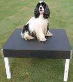 The pause table is another piece of a good obstacle course that is simple, yet can be difficult to train a dog to use.