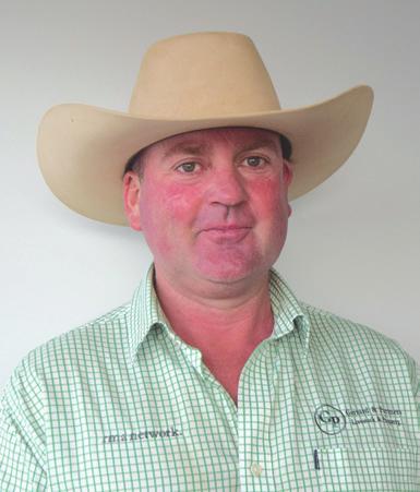 Paddock Sales AuctionsPlus Sales with Level 1